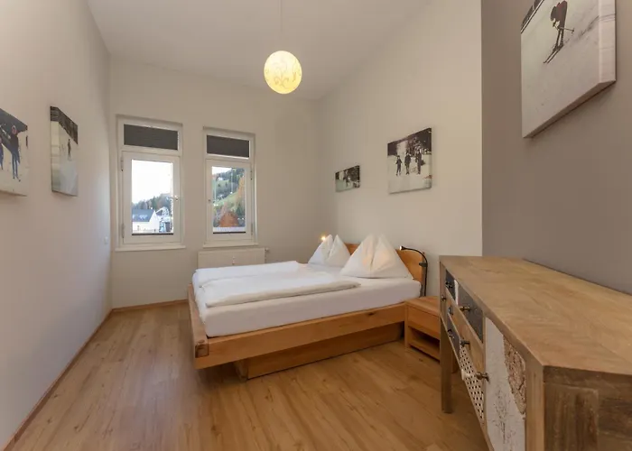Schneider By Schladming-appartements * 斯拉德明