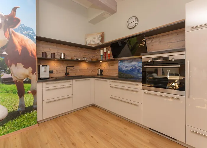 Schneider By Schladming-appartements 公寓